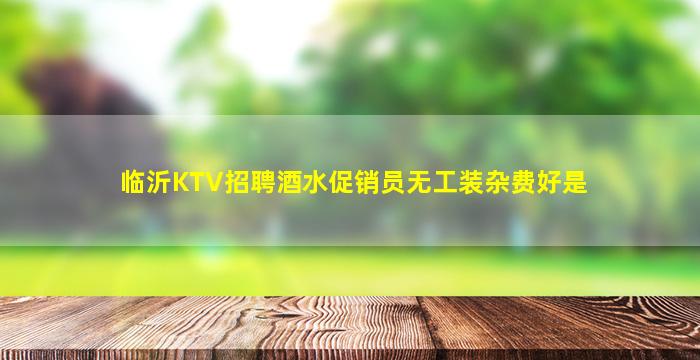 临沂KTV招聘酒水促销员无工装杂费好是